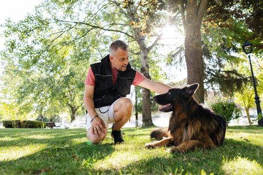 Man petting german shepherd dog enjoying sunny park day