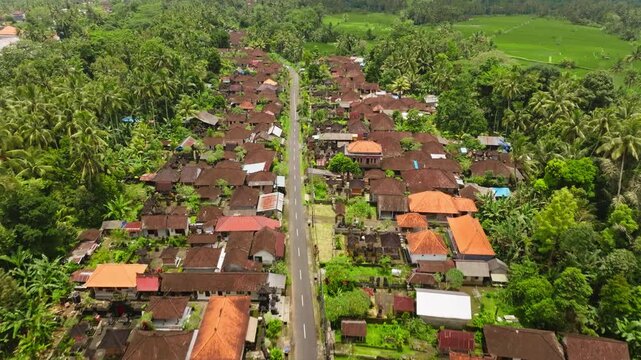 Ubud village in Bali showing traditional houses with tiled red roofs lining a main road, surrounded by lush tropical vegetation, coconut palm trees, and green rice paddies. Aerial view drone flight