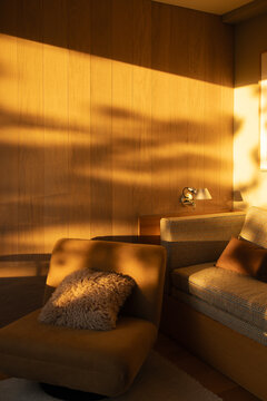 Cozy Cabin Interior with Golden Hour Sunlight