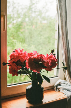 The bouquet of peonies on the windowsill