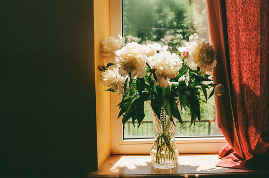The bouquet of peonies on the windowsill