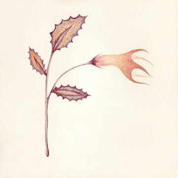 Mystical flower art