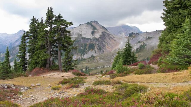 Mt. Baker-Snoqualmie National Forest, Washington.  Stunning landscape view in the Artist Point area.