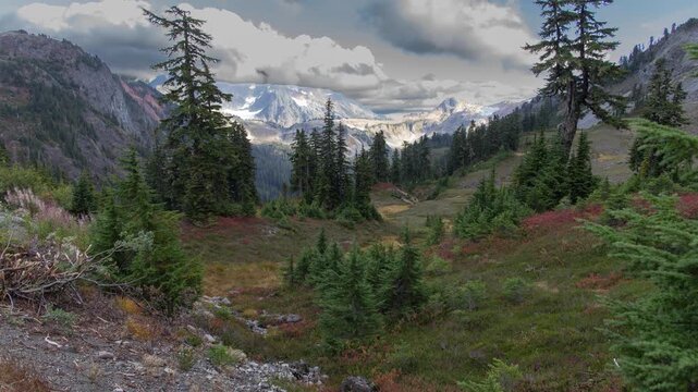 Mt. Baker-Snoqualmie National Forest, Washington.  Stunning landscape view in the Artist Point area.