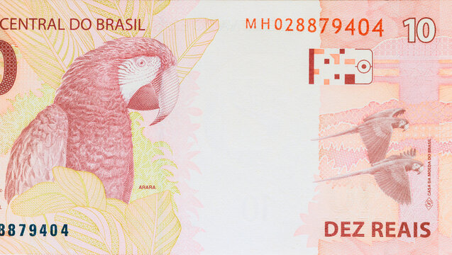 Brazilian Real BRL Money Brasil currency ten reais banknotes issued Central Bank of Brasil