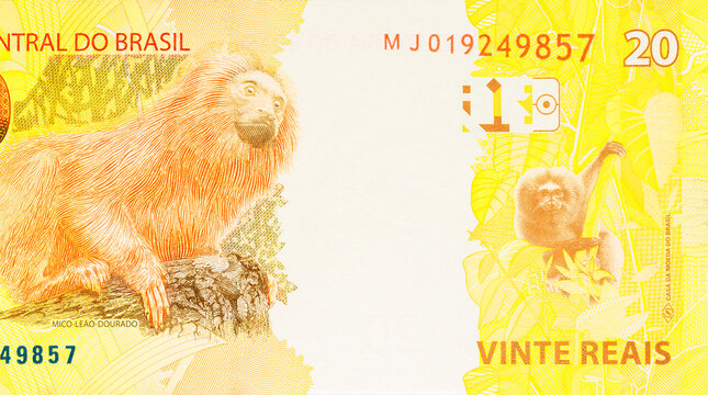 Brazilian economic business BRL 20 money banknotes issued by Brazil Central Bank