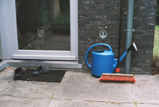 cat and watering can