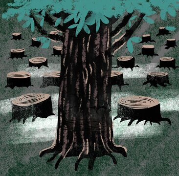 The Last Tree Standing