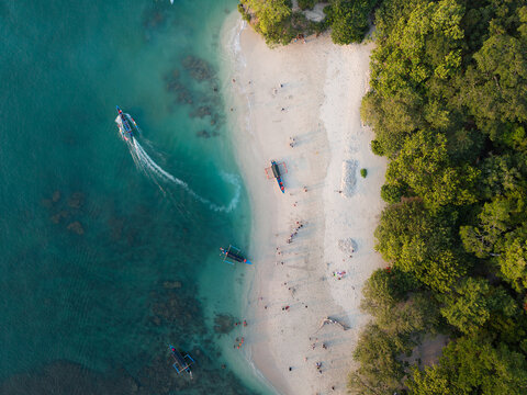 Top Down View of Beachgoers Along Forested Shoreline