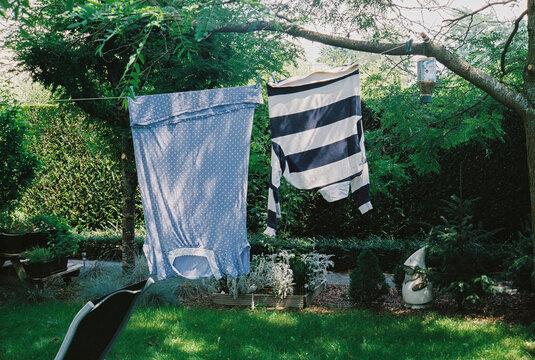 clothesline in garden