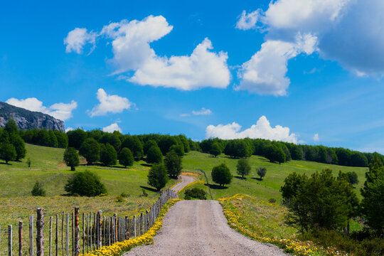 Gravel Road Through Green Hills