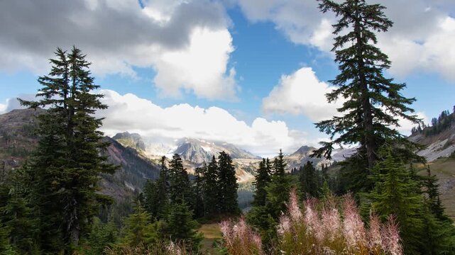 Mt. Baker-Snoqualmie National Forest, Washington.  Stunning landscape view in the Artist Point area.