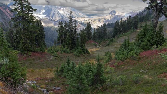 Mt. Baker-Snoqualmie National Forest, Washington.  Stunning landscape view in the Artist Point area.