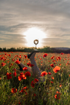 Vibrant poppy field landscape features legs balancing wine glass on high heels during sunset