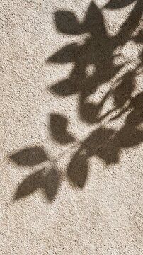 Shadows dance across the rough texture of a wall