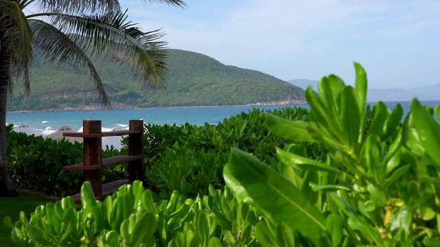 Serene Coastal View with Lush Greenery and Gentle Waves, Framed by Palm Trees and Rolling Hills in a Peaceful Tropical Setting