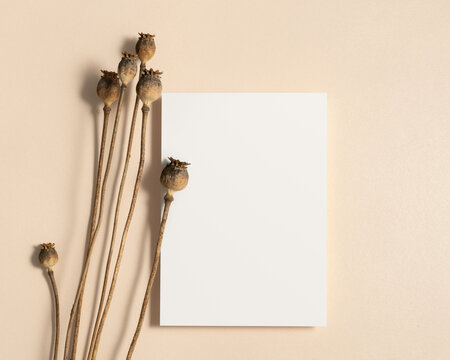 Blank white card mockup with dry poppy heads on beige background
