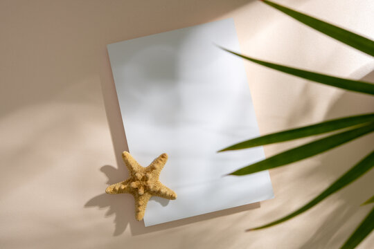 Blank card mockup with starfish on beige background with tropical shadows
