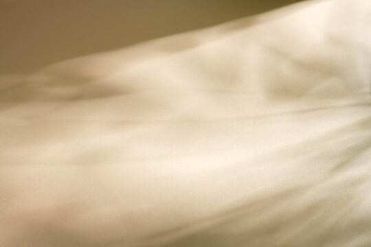 Beige texture background with soft tropical palm leaf shadows