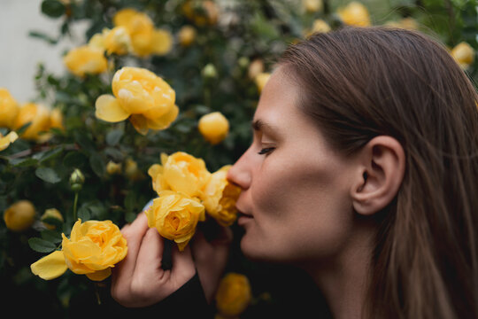 Vibrant yellow roses being smelled by young woman in botanical garden setting during bright spring day