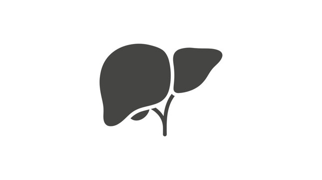 Detailed human liver vector graphic illustration featuring anatomical internal organ structure with clean black silhouette design style