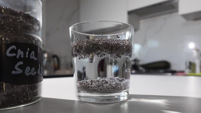 Chia Seeds Hydrating in Water Form Gel on Kitchen Countertop, timelapse