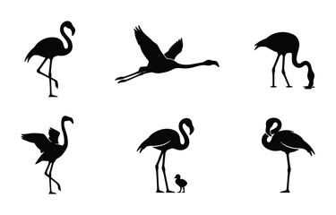 Obraz premium Flamingo Silhouettes Collection, Elegant Bird Poses Vector Set, Tropical Wildlife Graphic Elements