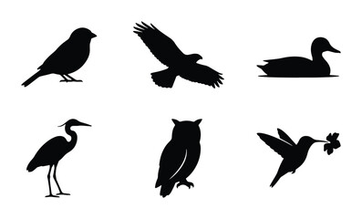 Obraz premium Diverse Bird Silhouettes Collection: Eagle, Owl, Heron, Hummingbird, Sparrow, Duck Icons for Nature and Wildlife Design