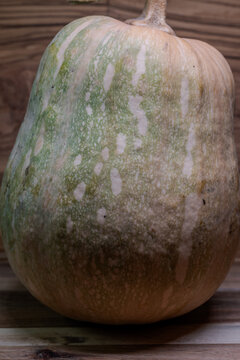 Still life of edible pumpkins