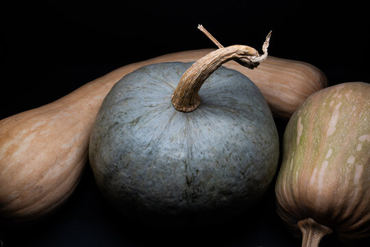 Still life of edible pumpkins