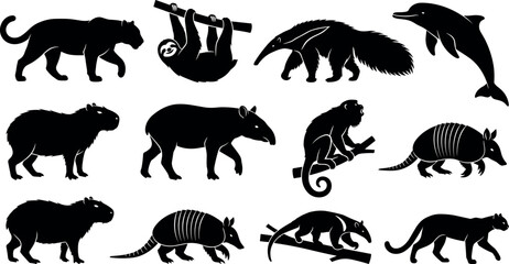 Fototapeta premium Animal Silhouettes Set with Jaguar, Sloth, Dolphin, Capybara, Armadillo, Monkey, and Bear Icons
