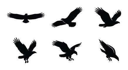 Fototapeta premium Eagle Silhouettes, Bird of Prey Flying Poses Vector Set, Majestic Raptor Icons for Wildlife and Freedom Concepts