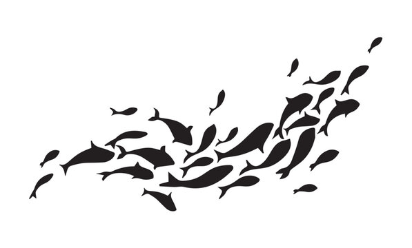 Swimming school of fish black silhouette vector illustration. Group of marine fishes shapes isolated on white background.	