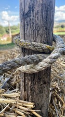 Weathered Rope Wrapped Around Wooden Post © Elena Anne Morel
