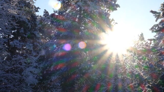 Amazing frozen nature under an ethereal sunrise. True winter wonderland&mdash;an idyllic northern nature, serene and majestic. Spirit of the winter solstice, peace and awe, inviting viewers to pause 