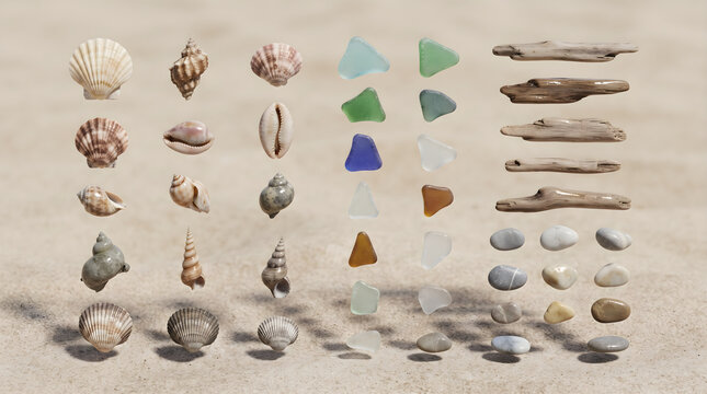A neat beachcomber chart featuring seashell collections sea glass and driftwood arranged on sandy background
