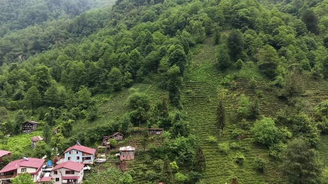 Breathtaking Aerial Perspective of Green Mountains in Arhavi, Artvin