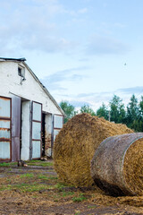 Large round hay bales positioned near a rustic white barn with open doors, surrounded by green grass and trees under a cloudy sky in a rural setting © Krystsina