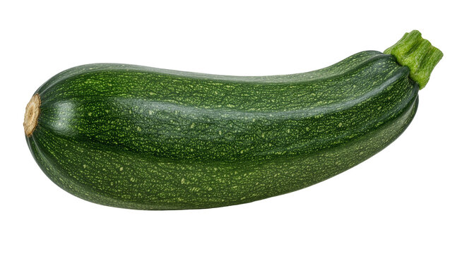 Dark green zucchini with light speckles, isolated on transparent background
