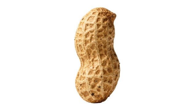Single whole peanut in shell with textured brown surface, isolated on transparent background