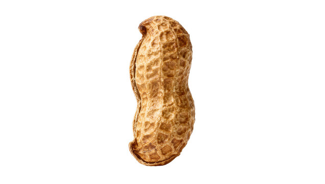 Single whole peanut in shell textured brown surface, isolated on transparent background