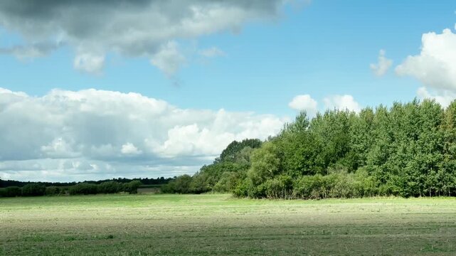 Right side view driving plate of green forest and rural field under fluffy clouds, scenic countryside road trip video background
