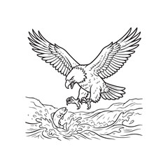 Fototapeta premium Bald eagle swooping over water to catch fish, black and white line art coloring page, detailed wildlife outline illustration