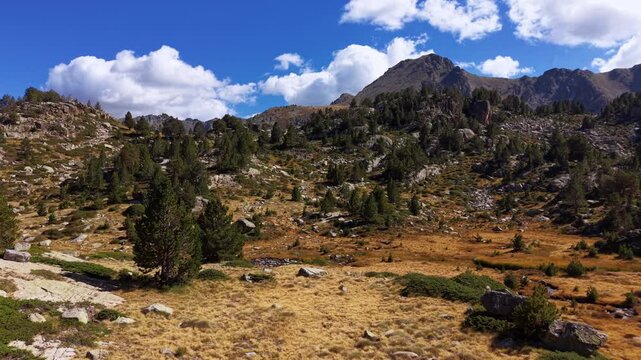 Scenic alpine landscape of Pessons Cirque in Andorra, featuring pine trees, golden meadows, rocky terrain and rugged mountain peaks under a blue sky with white clouds