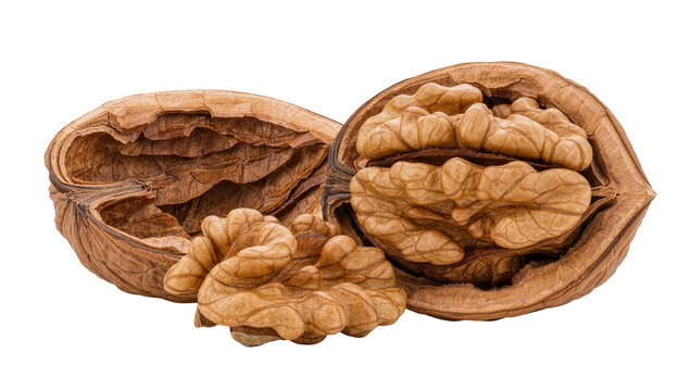 Open walnut shell with kernels and empty halves, isolated on transparent background