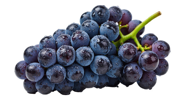 Dark blue grapes with water droplets, isolated on transparent background