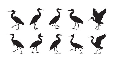 Fototapeta premium Black heron bird silhouettes collection featuring various standing and landing poses for wildlife design and nature projects.