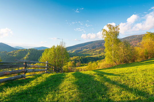 mountainous rural landscape of ukraine in spring. lovely view of valley fields. alpine meadow on a sunny afternoon. carpathian mountains countryside with forest near pasture. earth day background