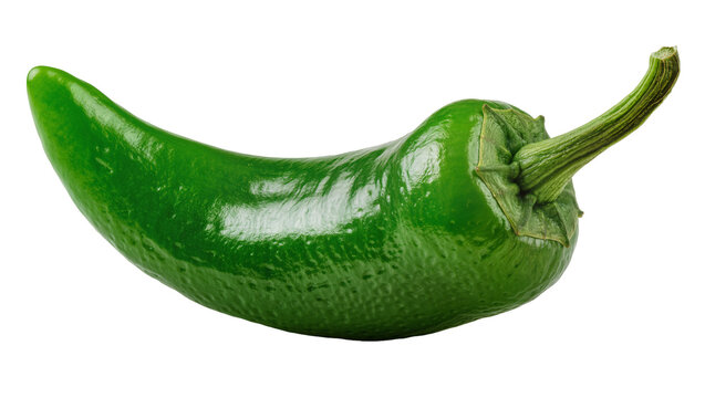 Single ripe green jalape&ntilde;o pepper with textured skin, isolated on transparent background