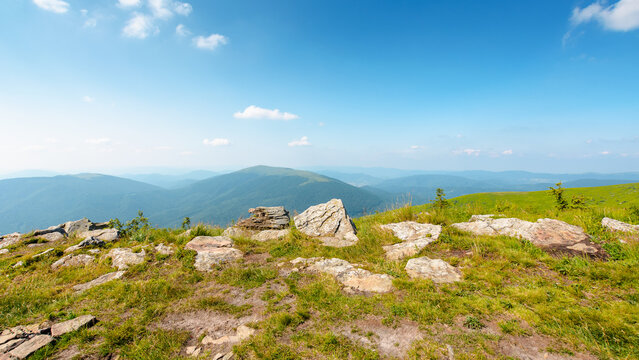 Carpathian mountain landscape in summer. scenic view of Transcarpathia region from the mnt. Smooth. alpine blueberry field with rock on the Polonyna Runa hill